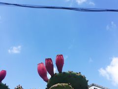 -卓兰芳烈士纪念馆