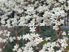 -外高桥保税区南(地铁站)