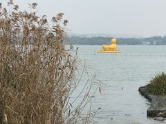 -渤公岛生态公园