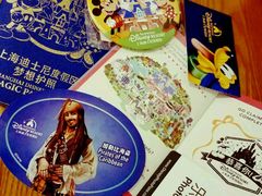 -迪士尼乐园停车场