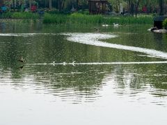 -太阳宫公园