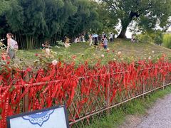 -景德镇陶阳里历史文化旅游区