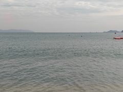 -大梅沙海滨公园