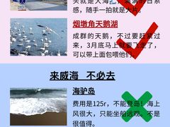 -幸福门