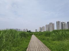 -汉江湾体育公园