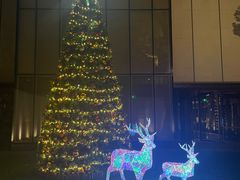 -九里云松·天香餐厅