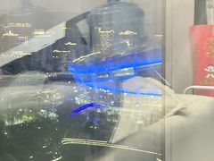 -飞洲国际广场