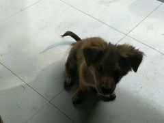 -兰剑驾校(汉阳校区)