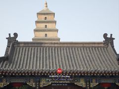 -大慈恩寺(大雁塔)