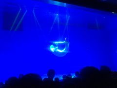 -芜湖新华联大白鲸海洋公园