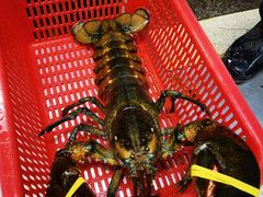 -蚝专家(北滘店)