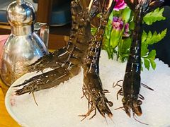 -禄婶鸡煲·打边炉