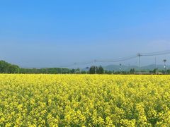 -东梓关景区村庄