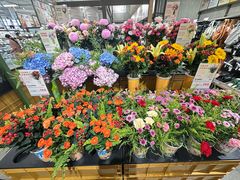 -鹿岛生活(熙地港店)