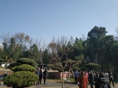 -水绘园