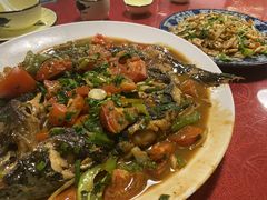 剑骨鱼啤酒炖-生态苑农庄(十里画廊遇龙河店)