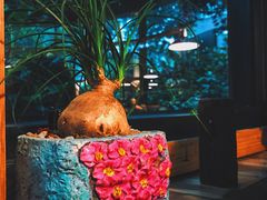 -NLFS1983咖啡花园餐厅(锦桂店)