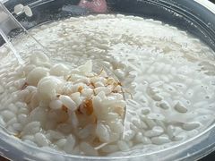 -潘玉麟糖粥