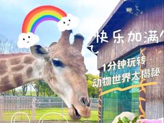 -广州长隆野生动物世界