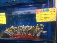 -蚝专家(北滘店)