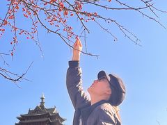 -任记七中刀削面(总店)