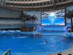 -海合安成都极地海洋公园