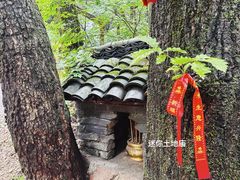 -本溪汤沟绿石谷森林公园