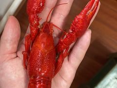 -沪小胖·小龙虾·蓝龙王(八佰伴店)