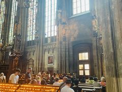 -斯蒂芬主教座堂(Stephansdom)