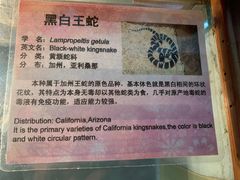 -上海大自然野生昆虫馆(东方明珠·爬宠昆虫探索中心)