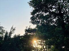 -大雁山风景区