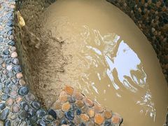 -100蛋泥浆浴