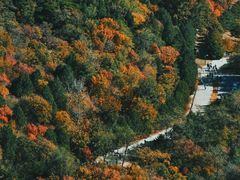 -鹫峰国家森林公园