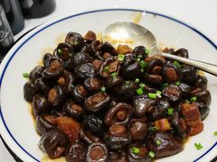 黄山野生扣子菇-同庆楼(金宝汇店)