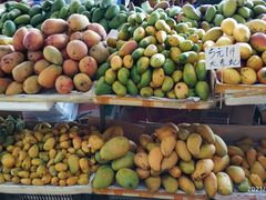 -羊栏农贸市场(羊新路店)