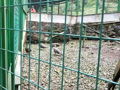 -藏龙百瀑风景区