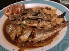 -船歌·鱼水饺青岛菜(合肥路永旺店)