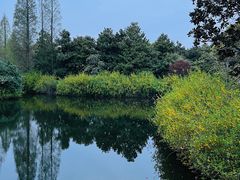 -上海滨江森林公园