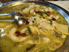 -陈生记黑鱼馆·20年活鱼现杀(宁波鼓楼店)