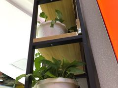 -周鱼小馆石锅酸菜鱼(活力汇店)