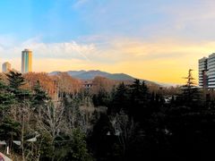 -山东大学(千佛山校区)