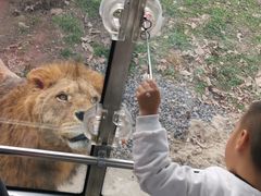 -西安秦岭野生动物园