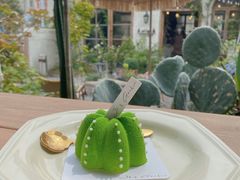 -Jo's Garden