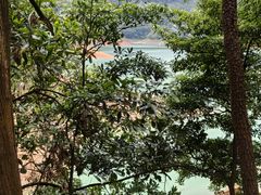 -广州市流溪河国家森林公园