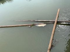 -北海金海湾红树林生态旅游区