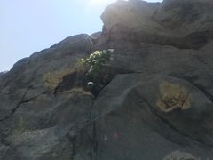-北京鹫峰国家森林公园
