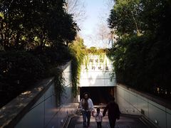 -素清香(解放路店)