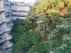 -香港大学