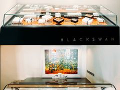 -BLACKSWAN黑天鹅(环球店)