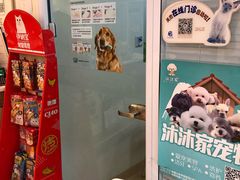 -瑞派·关忠动物医院(国瑞店)